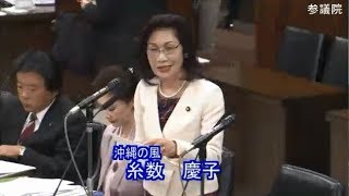 糸数慶子 沖縄の風 法務委員会 参議院 2018 11 29
