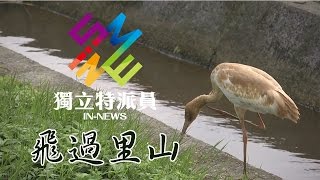 獨立特派員 第453集 (飛過里山)