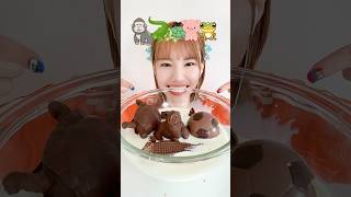 I ate chocolate at the zoo 🍫 #chewingsoundasmr #asmr #mukbang #chocolate