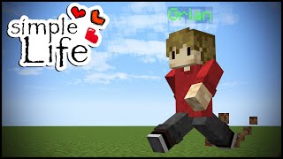 Simple Life: THE START AND END