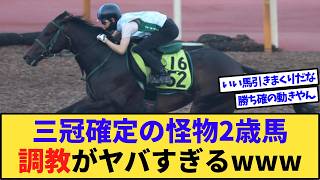 【速報】とんでもない怪物2歳牝馬が見つかってしまうwww