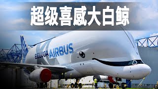世界上最大的運輸機之一空客大白鯨XL，自帶喜感的飛機，一眼看上去就愛了