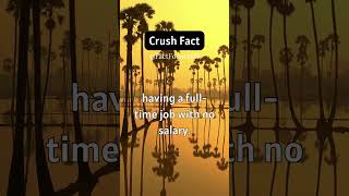 Having a crush is like a... #shorts #crushfacts