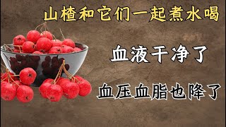 山楂和它们一起煮水喝，血液干净了，血压血脂也降了！ 中医养生｜双降汤｜身体调理｜气血疏通｜经络养生｜针灸理疗｜【中医针灸理疗师Jimmy】