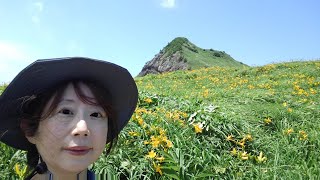 佐渡ｹ島ミシュラングリーンガイドジャポン2つ星✨✨大野亀のトビシマカンゾウ
