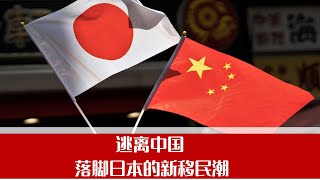 逃离中国、落脚日本的新移民潮：解剖“润日”现象｜大学沙龙235期（⾇友雄⼤、松平德仁、张翃）