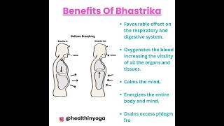 How to do Bhastrika Pranayam and its Benefits| भस्त्रिका प्राणायाम कैसे करें।