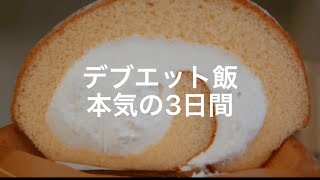 3 日間の食事です。ちょっと胃もたれ気味、、、