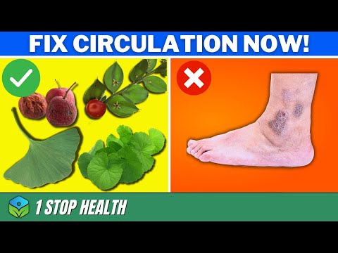 Boost Your Leg Circulation: Top 9 Herbs For Better Blood Flow | 1Stop Health