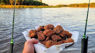ALL NIGHT Catch and Cook!!! (Flathead Fishing)