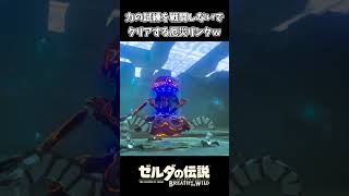 【ブレワイ】力の試練を戦わずにクリアするリンクｗｗ【ゼルダの伝説 ブレス オブ ザ ワイルド】
