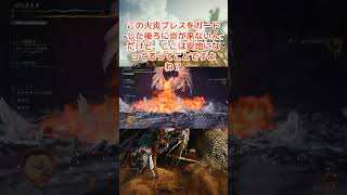 ゾシア戦でランスのガードで安置できてる！？