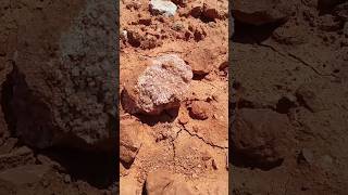Flood damage = rockhounding😃 #rockhounding #crystals  #flooddamage #adventure #hemi