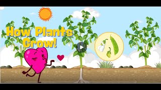 How Plants Grow! #kidssongs #FunScience #KidsLearning #PlantSong #STEMForKids #ClassroomSongs