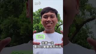 花蓮罕見超完整「日暈」 民眾興奮拍照｜TVBS新聞 @TVBSNEWS01 #shorts