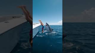Feeding a Shark Goes WRONG!
