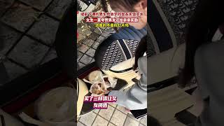 提前下課的男生給放學的女友買飯買水，女生一直誇讚男友還給親親獎勵#情侶 #新聞 #熱點新聞