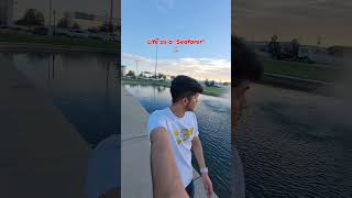 Life as a Seafarer  #merchantnavy #seafarer #sailing #sahil #shipping #cadet #ship #music