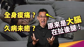 科學實證「心情不佳真的會造成消化、皮膚發炎、心血管健康問題」，但為什麼？