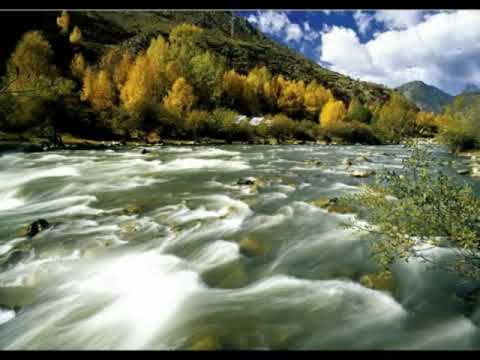 逝水 - 陳潔靈