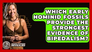 Which Early Hominid Fossils Provide The Strongest Evidence Of Bipedalism? - Ancient Wonders Revealed