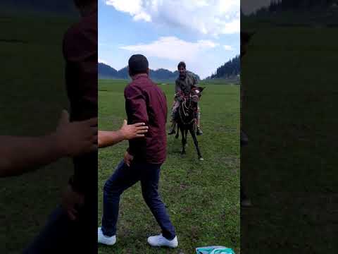 BUNGUS VALLEY ......Exploring One of the Finest and beautiful place in Kashmir valley..