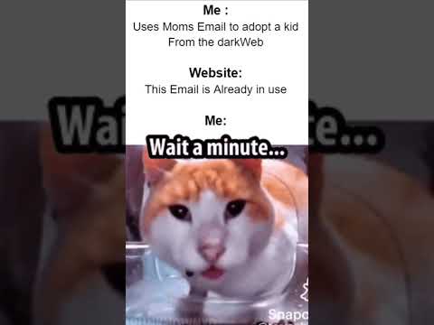 Wait a minute... #cat #memes #funny #shorts