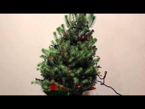 Color Christmas String Lights