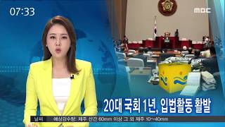 20대 국회 1년, 입법활동 활발-R (170607수/뉴스투데이)