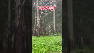 Rainy today Talwara #shortvideo #viralvideo #talwara #reels #rain #travel