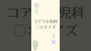 コアラ小児科○×クイズ#小児科医 #小児科 #医師 #shorts #クイズ