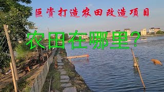巨资打造的耕地质量提升项目现状 | 农田 | 池塘 | 螃蟹