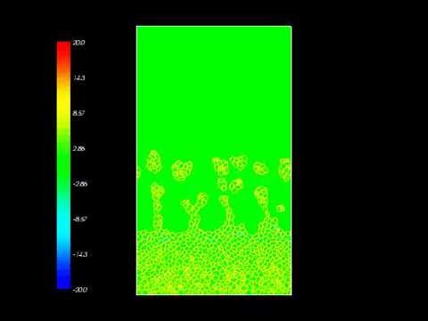 Invasion Fronts - Simulation 02