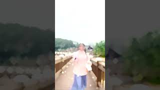 网红越南小竹 #shorts #越南美食 #越南小竹 ＃越南泡妞者