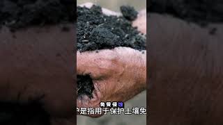 土壤保护的秘密：保持土地生产力的关键！🌱
