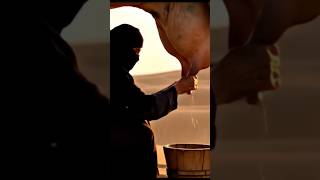Desert Woman Village Life #desertlife #villagelife #pakistaniculture #shorts #youtubeshorts