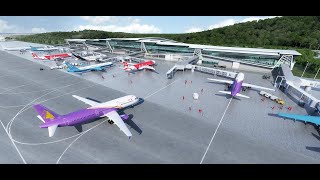 视频|柬埔寨卫生部：每天航空入境旅客约500人