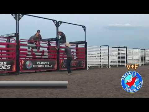 Cookies & Cream Frankys Bucking Bulls