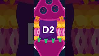 Why Your Dopamine Receptors Are Disappearing #shorts