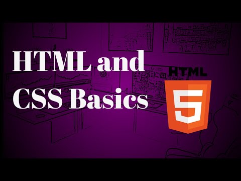 HTML and CSS basics | Beginners stop