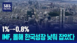 1%→0.8%…IMF, 올해 한국성장 낮춰 잡았다 / SBS / 경제365