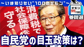 参院選直前！「自民党」の目玉政策は？【ギモン９９】