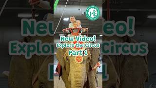Circus Adventure for Kids 🎪🐘🚂 | Train Rides, Face Paint & Bounce House Fun! 🤹‍♂️🎉