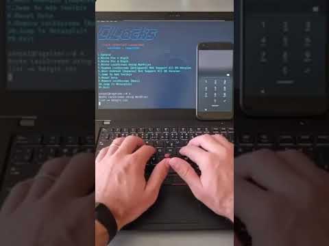 Phone lock brute force