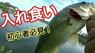 初秋の大江川でバス釣り【もはや餌さ◯◯◯ワーム】