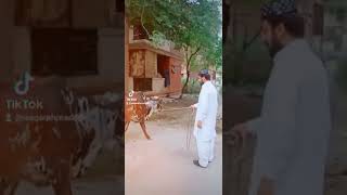 This Eid 2022 | Qurbani | #eiduladha #trending #WaqarAhmad