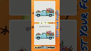 Puzzle Challenge Find What Doesn’t Match #shorts #spotgame