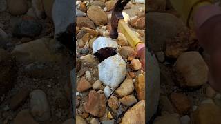 Unexpectedly, I split the red mossagate #diamond #crystals #gemstones #agate #jade #petrifiedwood