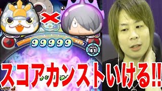 ぷにぷにCブシニャンでスコアカンストも可能!?【妖怪ウォッチぷにぷに】ベル争奪戦Yo-kai Watch part386とーまゲーム