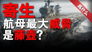 萬噸航母竟被寄生生物拖垮？揭秘寄生軍團如何腐蝕巨艦筋骨，癱瘓航速#兵器說 #為什麼 #航母